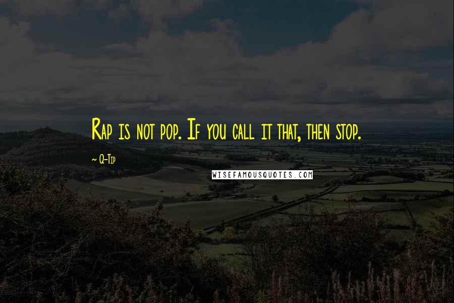 Q-Tip Quotes: Rap is not pop. If you call it that, then stop.