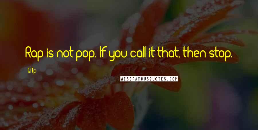 Q-Tip Quotes: Rap is not pop. If you call it that, then stop.