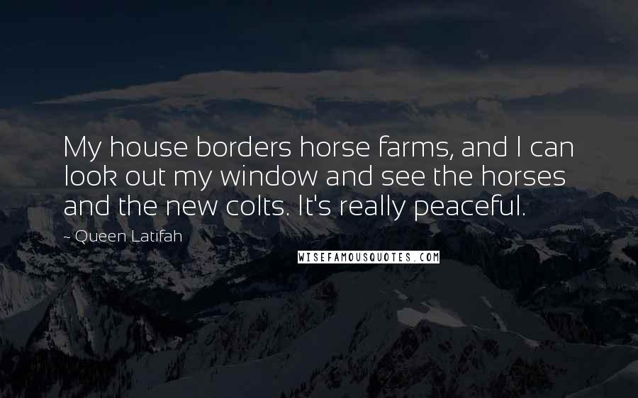 Queen Latifah Quotes: My house borders horse farms, and I can look out my window and see the horses and the new colts. It's really peaceful.