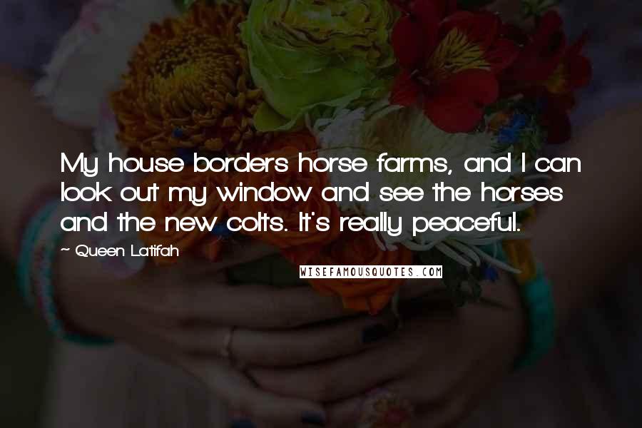 Queen Latifah Quotes: My house borders horse farms, and I can look out my window and see the horses and the new colts. It's really peaceful.