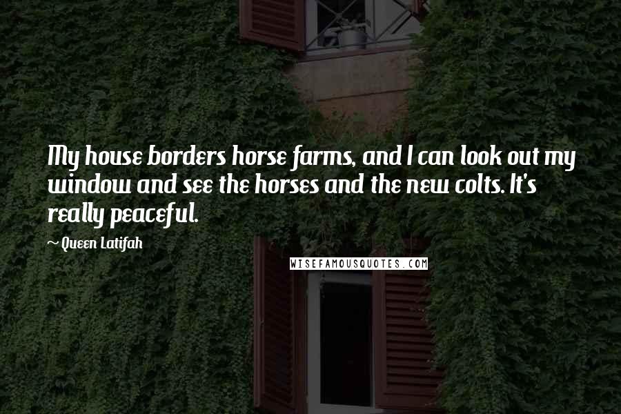 Queen Latifah Quotes: My house borders horse farms, and I can look out my window and see the horses and the new colts. It's really peaceful.