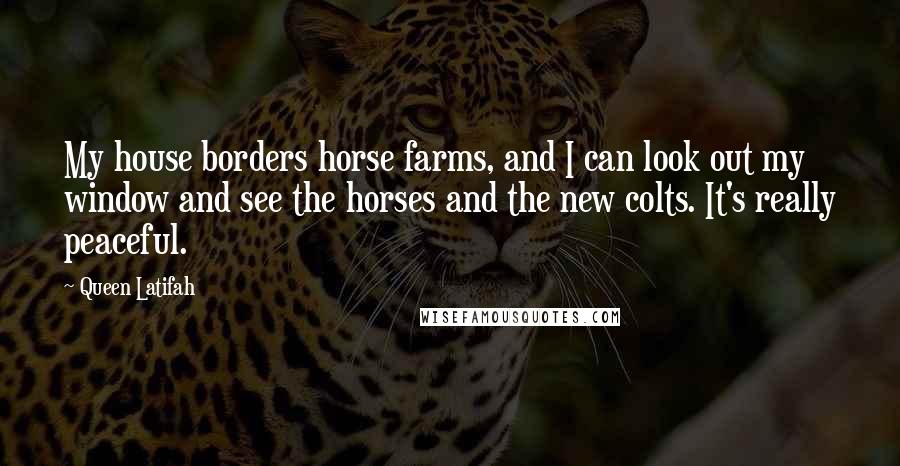 Queen Latifah Quotes: My house borders horse farms, and I can look out my window and see the horses and the new colts. It's really peaceful.