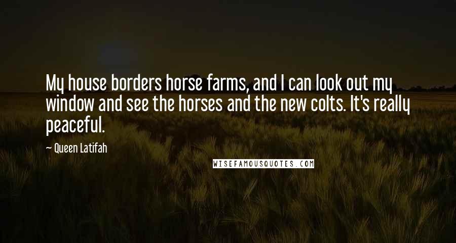Queen Latifah Quotes: My house borders horse farms, and I can look out my window and see the horses and the new colts. It's really peaceful.
