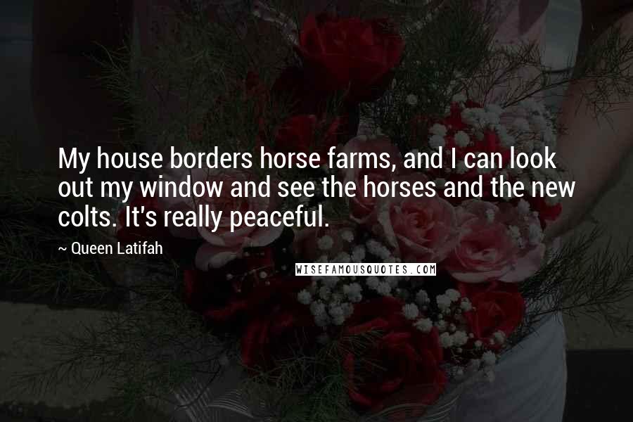 Queen Latifah Quotes: My house borders horse farms, and I can look out my window and see the horses and the new colts. It's really peaceful.