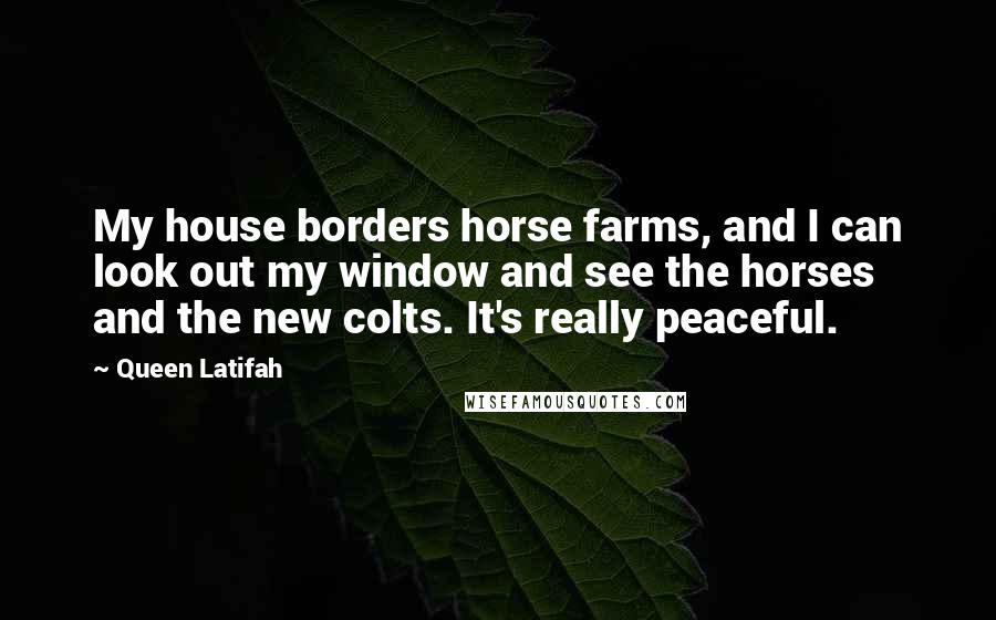 Queen Latifah Quotes: My house borders horse farms, and I can look out my window and see the horses and the new colts. It's really peaceful.