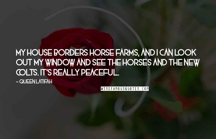 Queen Latifah Quotes: My house borders horse farms, and I can look out my window and see the horses and the new colts. It's really peaceful.