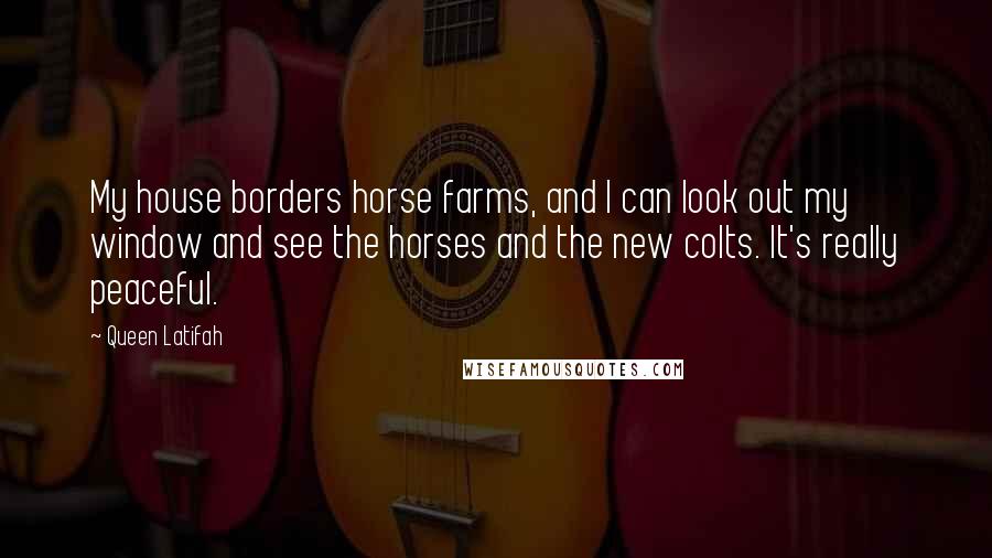 Queen Latifah Quotes: My house borders horse farms, and I can look out my window and see the horses and the new colts. It's really peaceful.