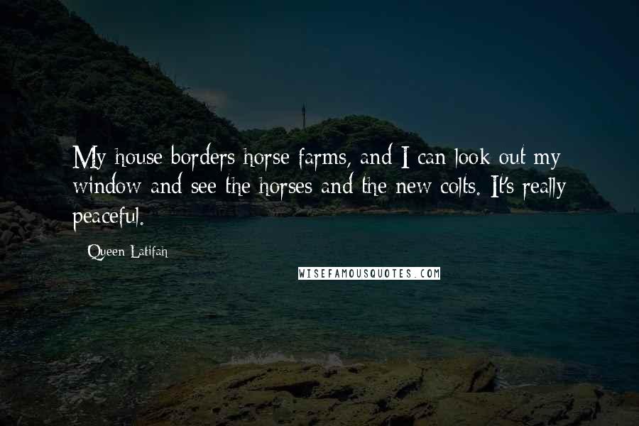 Queen Latifah Quotes: My house borders horse farms, and I can look out my window and see the horses and the new colts. It's really peaceful.