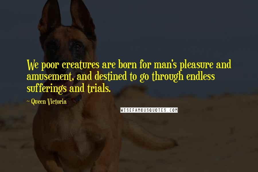 Queen Victoria Quotes: We poor creatures are born for man's pleasure and amusement, and destined to go through endless sufferings and trials.