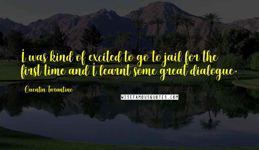 Quentin Tarantino Quotes: I was kind of excited to go to jail for the first time and I learnt some great dialogue.