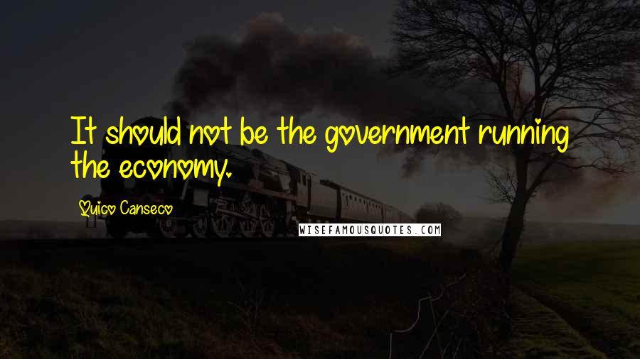 Quico Canseco Quotes: It should not be the government running the economy.