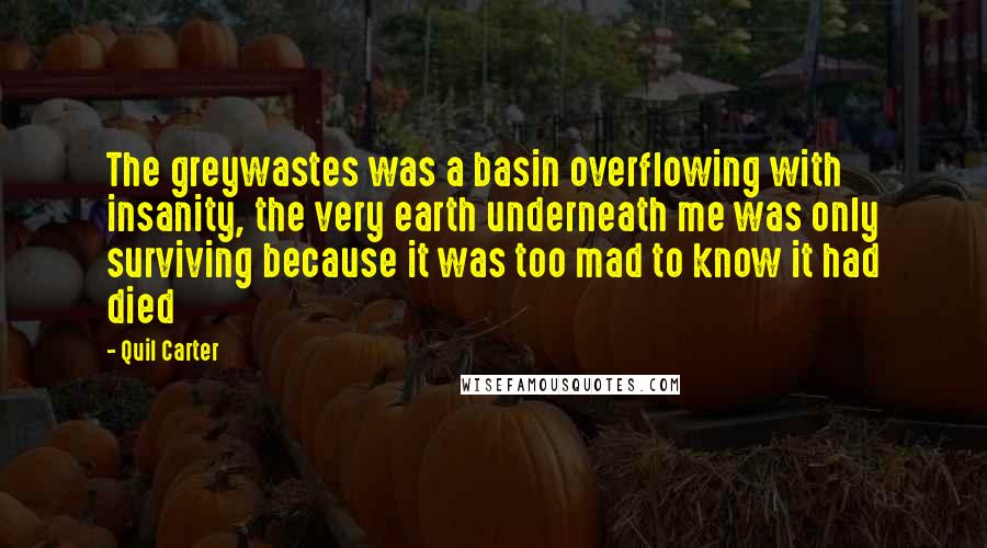 Quil Carter Quotes: The greywastes was a basin overflowing with insanity, the very earth underneath me was only surviving because it was too mad to know it had died