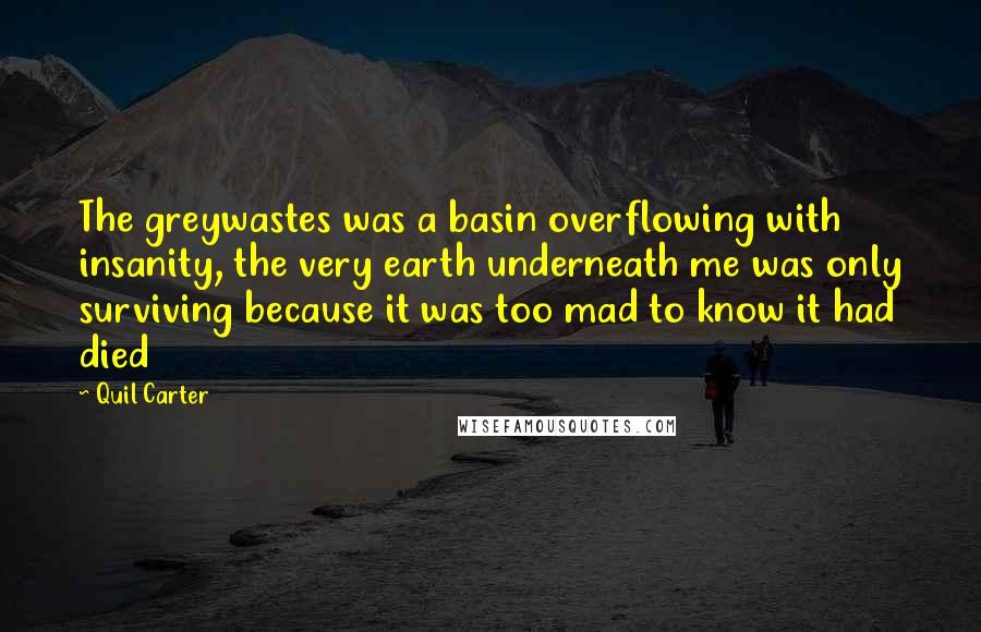 Quil Carter Quotes: The greywastes was a basin overflowing with insanity, the very earth underneath me was only surviving because it was too mad to know it had died