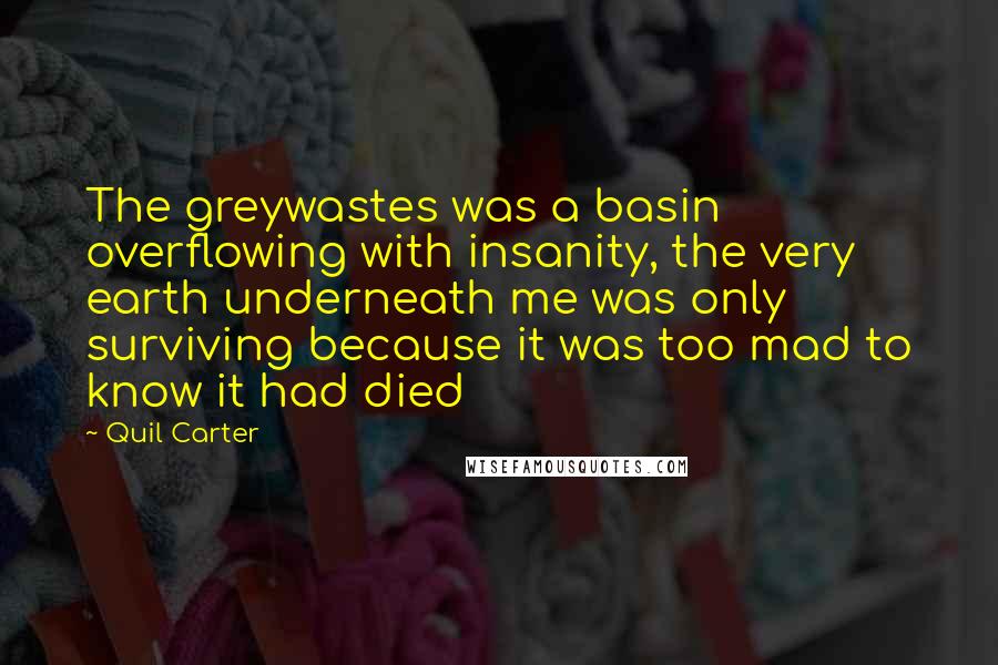 Quil Carter Quotes: The greywastes was a basin overflowing with insanity, the very earth underneath me was only surviving because it was too mad to know it had died