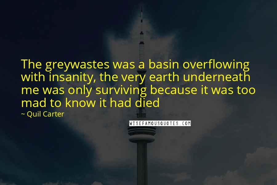Quil Carter Quotes: The greywastes was a basin overflowing with insanity, the very earth underneath me was only surviving because it was too mad to know it had died
