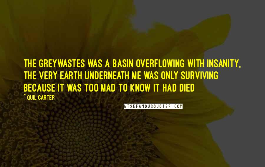 Quil Carter Quotes: The greywastes was a basin overflowing with insanity, the very earth underneath me was only surviving because it was too mad to know it had died