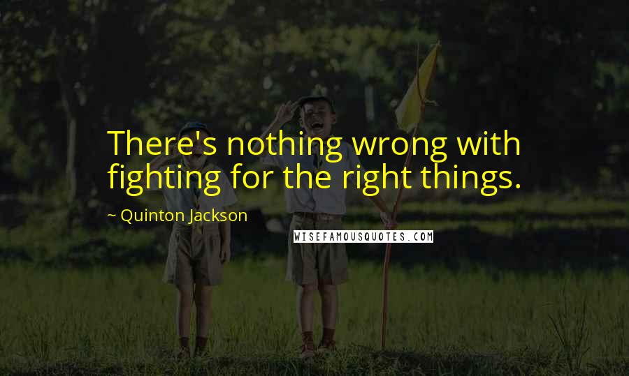 Quinton Jackson Quotes: There's nothing wrong with fighting for the right things.