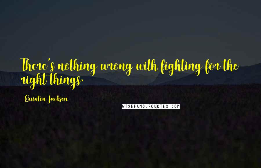 Quinton Jackson Quotes: There's nothing wrong with fighting for the right things.