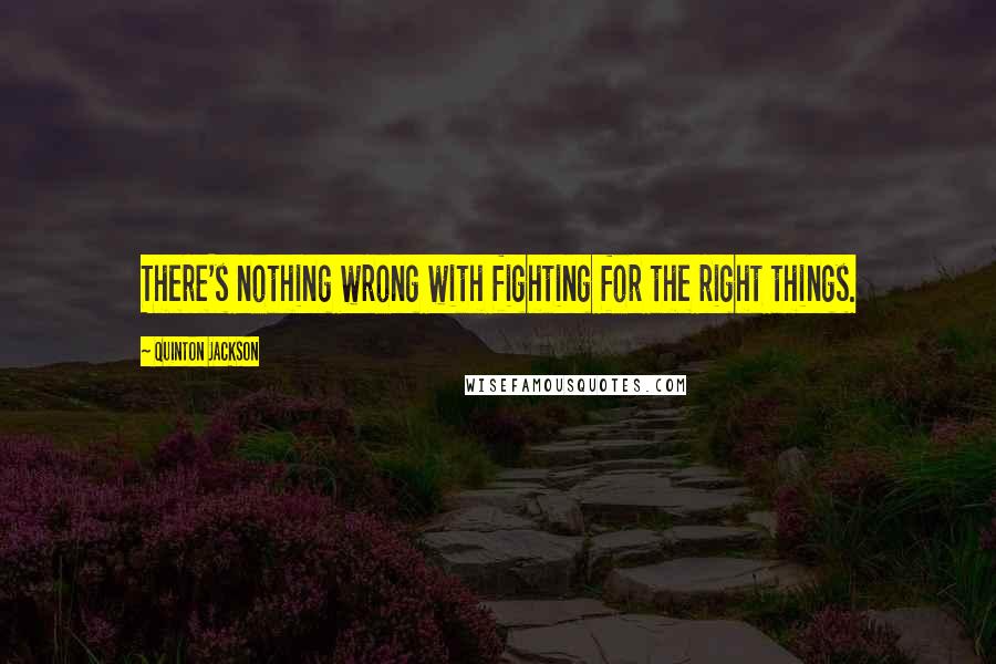 Quinton Jackson Quotes: There's nothing wrong with fighting for the right things.