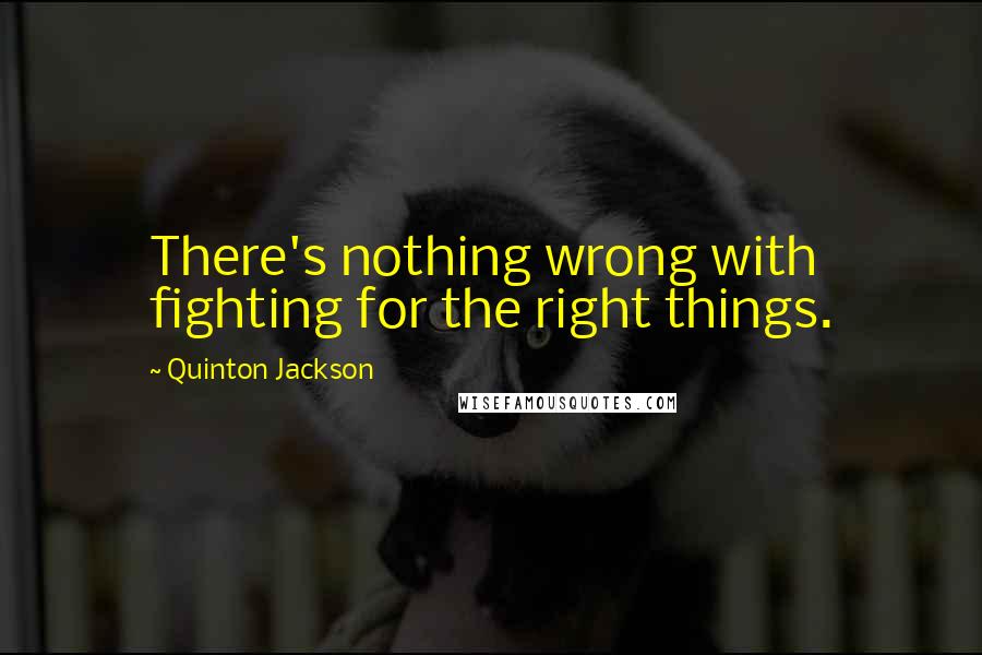 Quinton Jackson Quotes: There's nothing wrong with fighting for the right things.