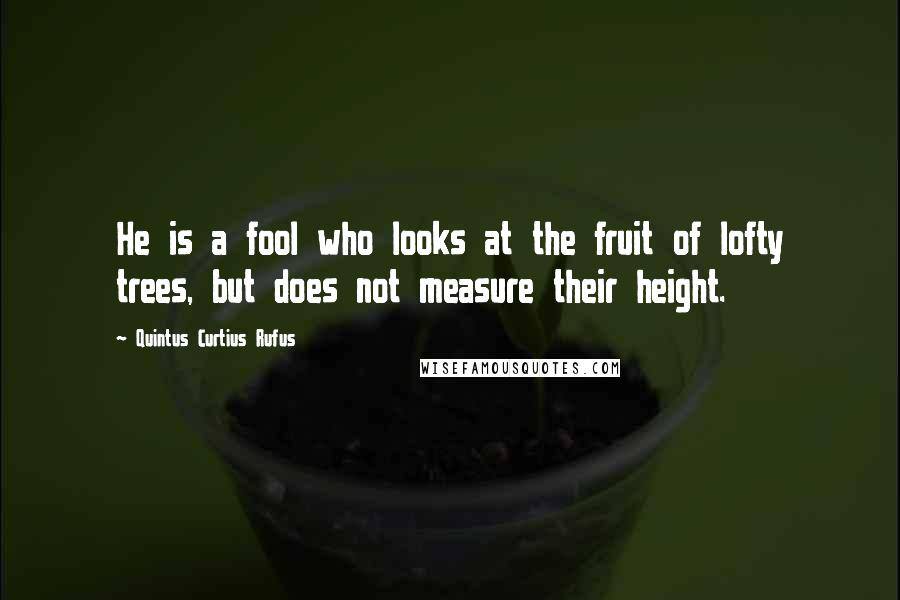 Quintus Curtius Rufus Quotes: He is a fool who looks at the fruit of lofty trees, but does not measure their height.