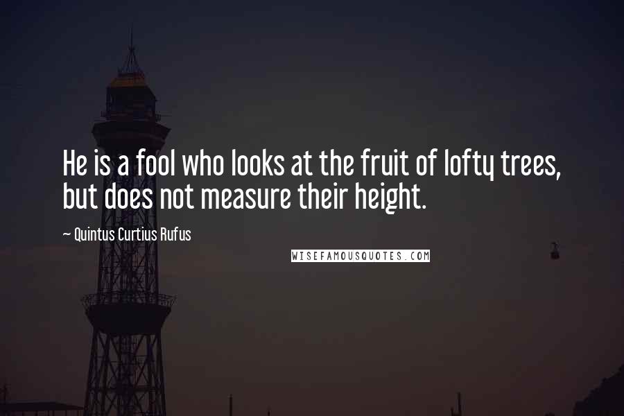 Quintus Curtius Rufus Quotes: He is a fool who looks at the fruit of lofty trees, but does not measure their height.