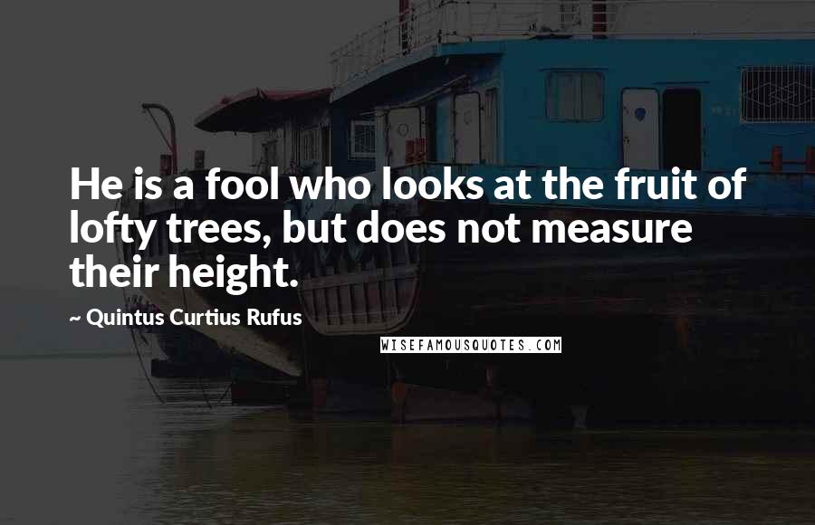 Quintus Curtius Rufus Quotes: He is a fool who looks at the fruit of lofty trees, but does not measure their height.