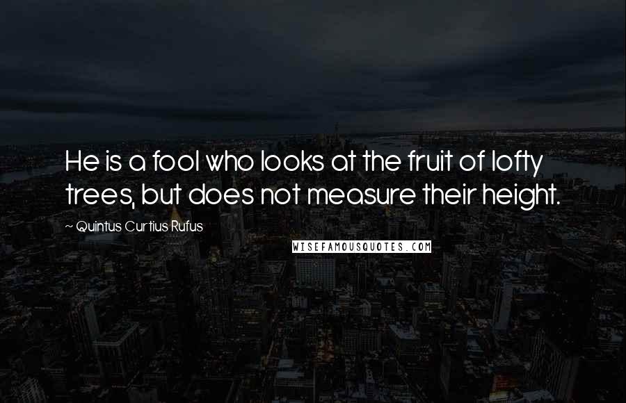 Quintus Curtius Rufus Quotes: He is a fool who looks at the fruit of lofty trees, but does not measure their height.