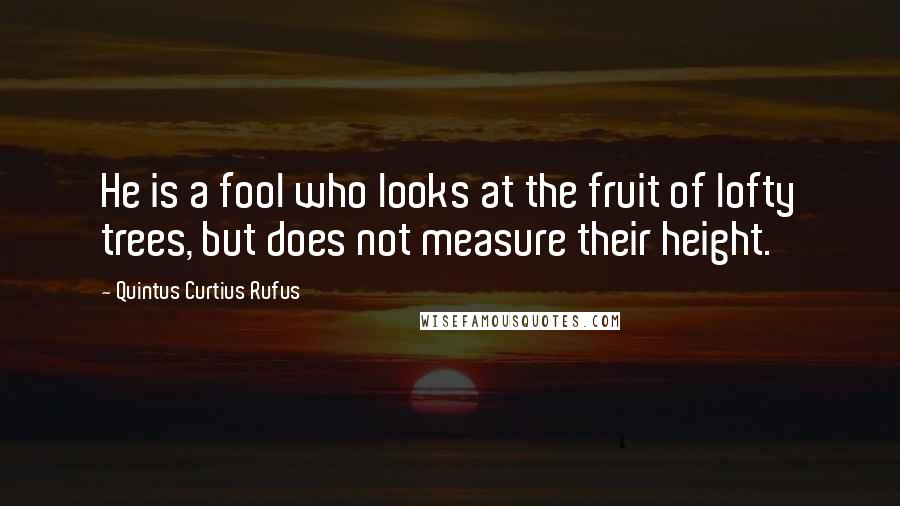 Quintus Curtius Rufus Quotes: He is a fool who looks at the fruit of lofty trees, but does not measure their height.