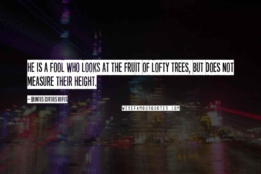 Quintus Curtius Rufus Quotes: He is a fool who looks at the fruit of lofty trees, but does not measure their height.