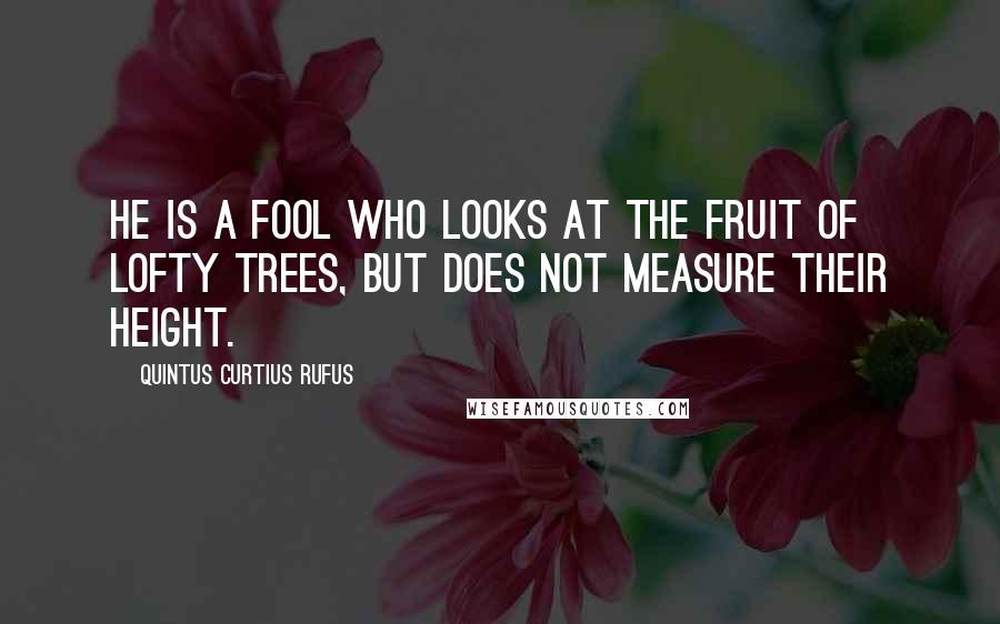 Quintus Curtius Rufus Quotes: He is a fool who looks at the fruit of lofty trees, but does not measure their height.