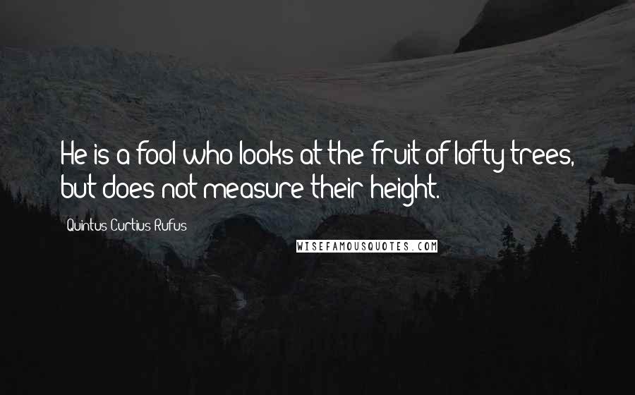 Quintus Curtius Rufus Quotes: He is a fool who looks at the fruit of lofty trees, but does not measure their height.