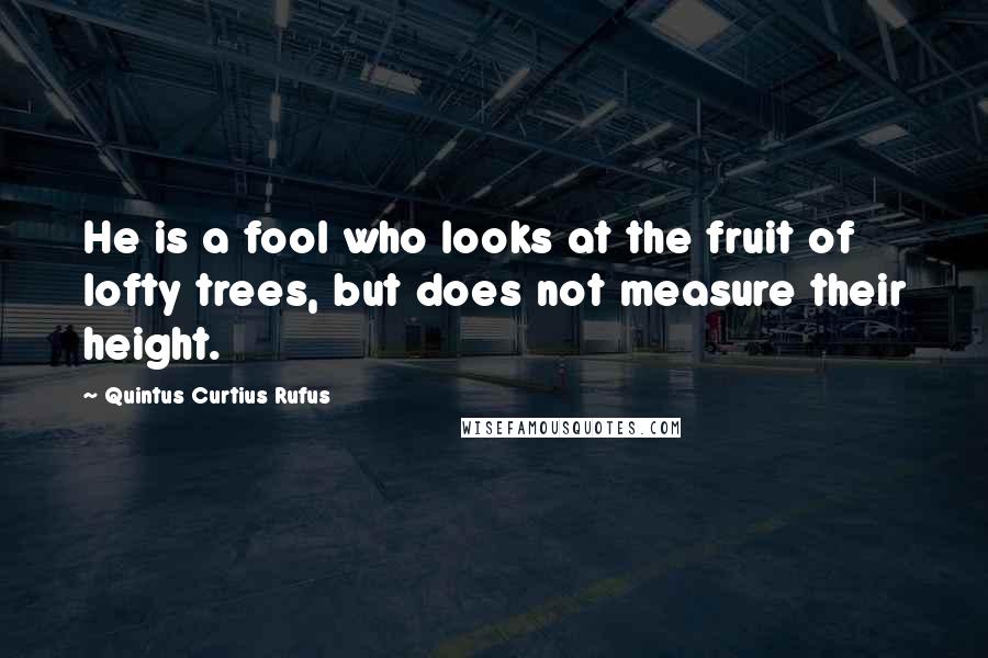 Quintus Curtius Rufus Quotes: He is a fool who looks at the fruit of lofty trees, but does not measure their height.