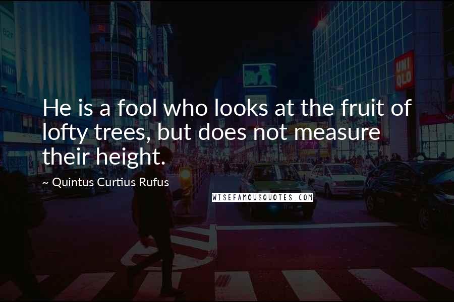 Quintus Curtius Rufus Quotes: He is a fool who looks at the fruit of lofty trees, but does not measure their height.