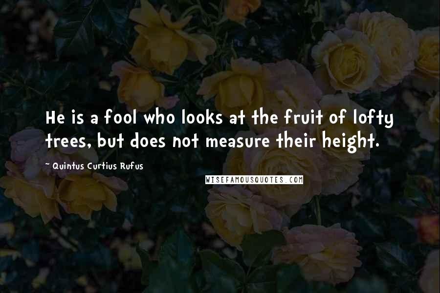 Quintus Curtius Rufus Quotes: He is a fool who looks at the fruit of lofty trees, but does not measure their height.