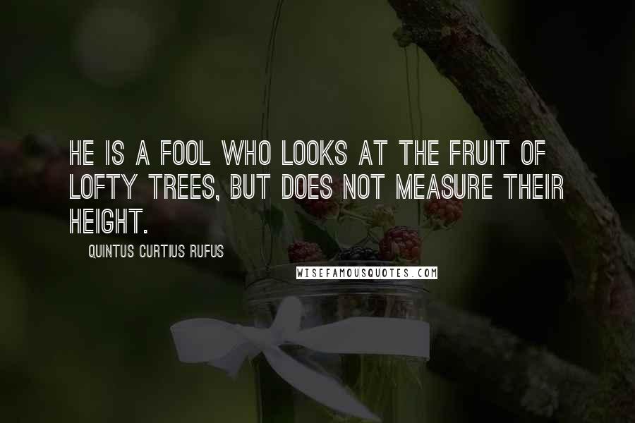 Quintus Curtius Rufus Quotes: He is a fool who looks at the fruit of lofty trees, but does not measure their height.