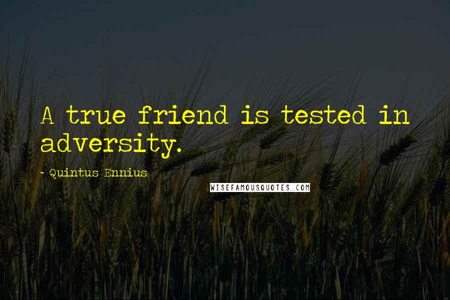 Quintus Ennius Quotes: A true friend is tested in adversity.