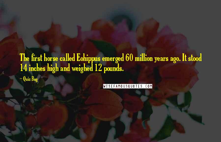 Quiz Bug Quotes: The first horse called Eohippus emerged 60 million years ago. It stood 14 inches high and weighed 12 pounds.