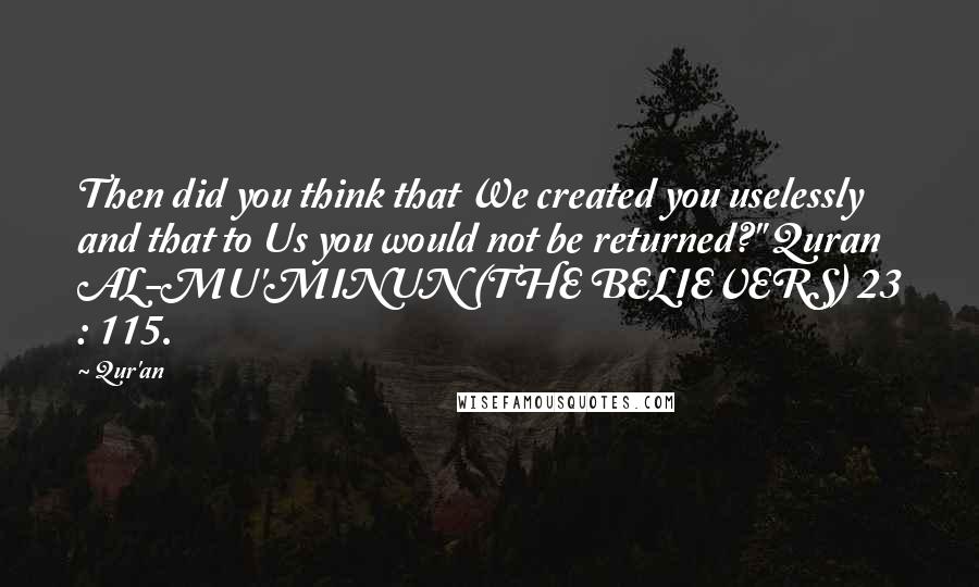 Qur'an Quotes: Then did you think that We created you uselessly and that to Us you would not be returned?" Quran AL-MU'MINUN (THE BELIEVERS) 23 : 115.