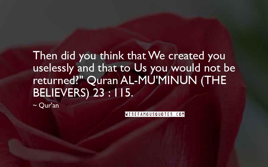 Qur'an Quotes: Then did you think that We created you uselessly and that to Us you would not be returned?" Quran AL-MU'MINUN (THE BELIEVERS) 23 : 115.