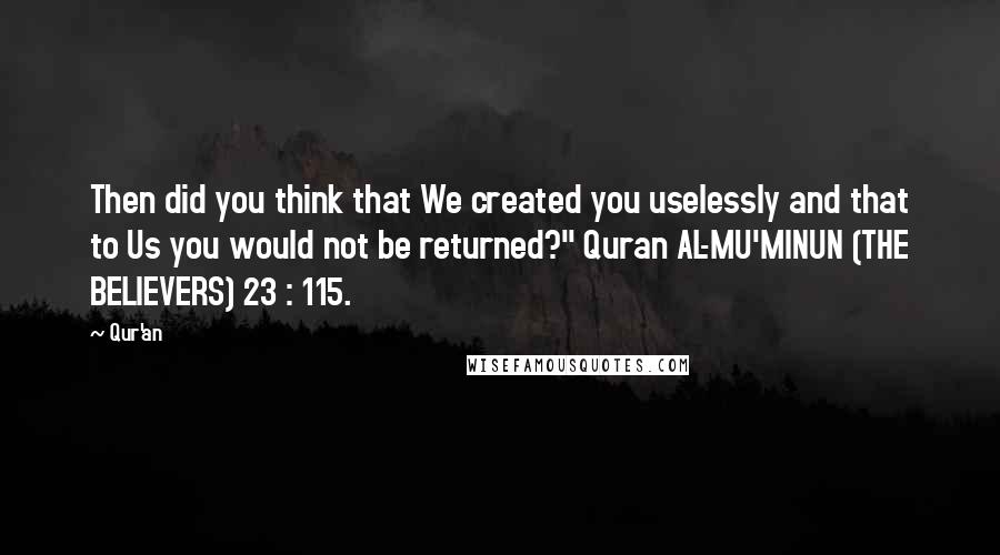 Qur'an Quotes: Then did you think that We created you uselessly and that to Us you would not be returned?" Quran AL-MU'MINUN (THE BELIEVERS) 23 : 115.