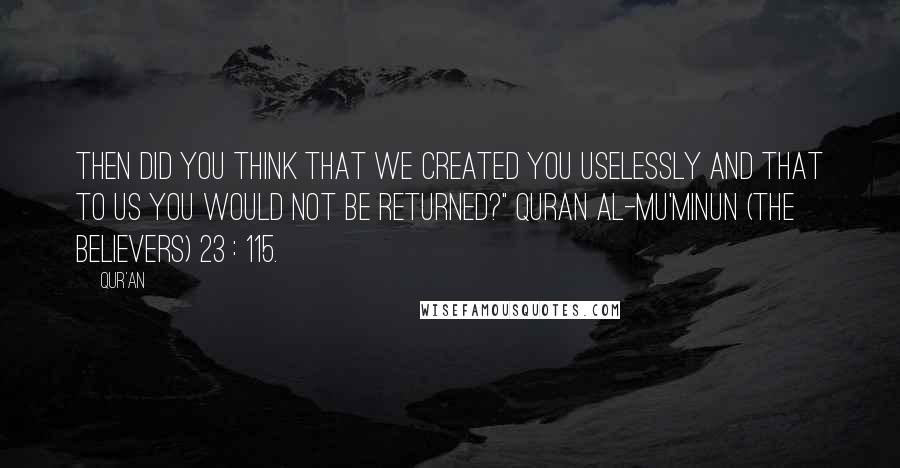 Qur'an Quotes: Then did you think that We created you uselessly and that to Us you would not be returned?" Quran AL-MU'MINUN (THE BELIEVERS) 23 : 115.