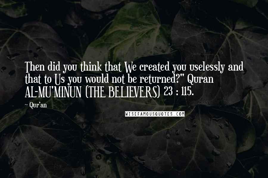 Qur'an Quotes: Then did you think that We created you uselessly and that to Us you would not be returned?" Quran AL-MU'MINUN (THE BELIEVERS) 23 : 115.