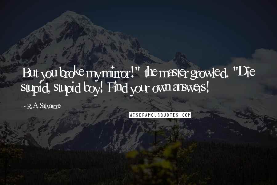 R.A. Salvatore Quotes: But you broke my mirror!" the master growled. "Die stupid, stupid boy! Find your own answers!