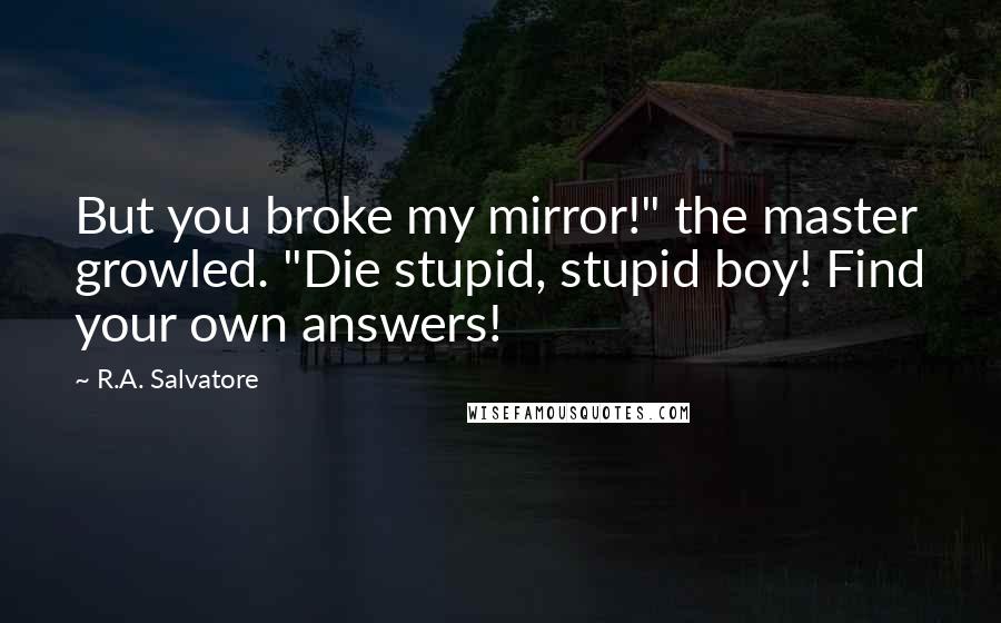 R.A. Salvatore Quotes: But you broke my mirror!" the master growled. "Die stupid, stupid boy! Find your own answers!