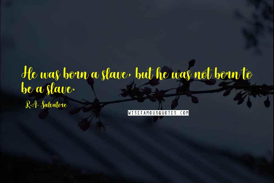 R.A. Salvatore Quotes: He was born a slave, but he was not born to be a slave.