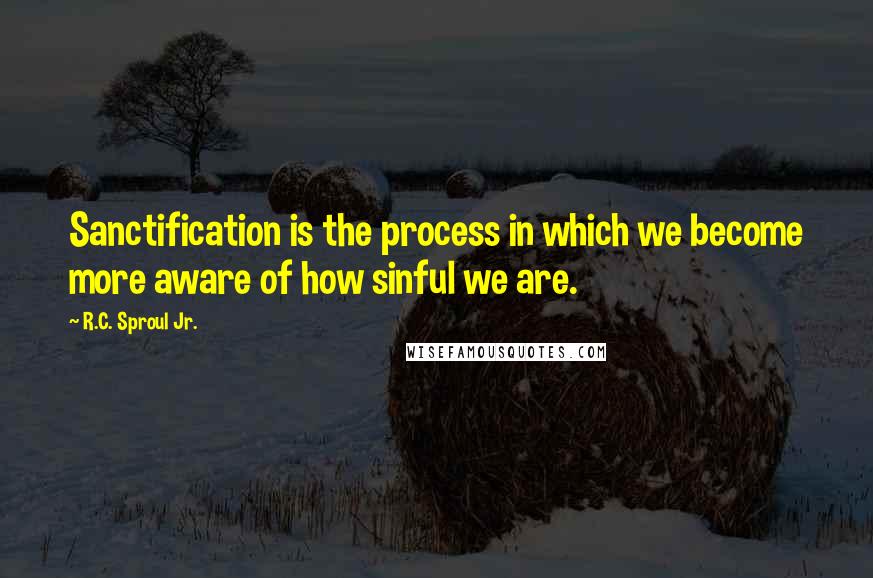 R.C. Sproul Jr. Quotes: Sanctification is the process in which we become more aware of how sinful we are.