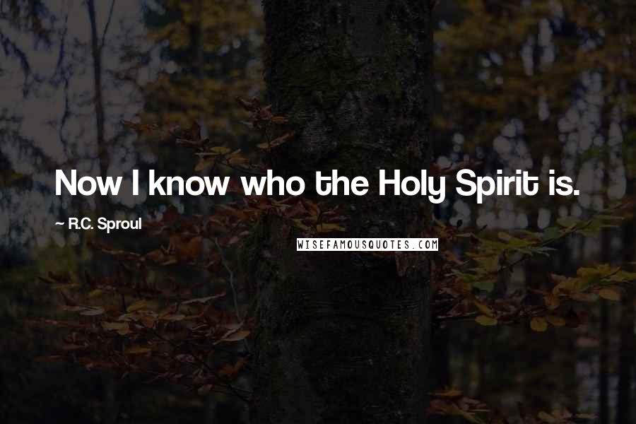 R.C. Sproul Quotes: Now I know who the Holy Spirit is.