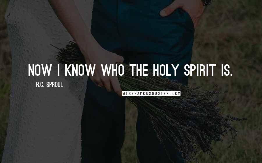 R.C. Sproul Quotes: Now I know who the Holy Spirit is.