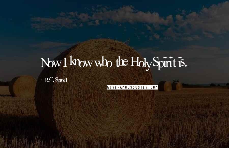 R.C. Sproul Quotes: Now I know who the Holy Spirit is.